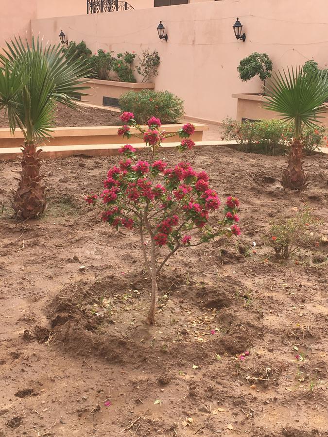 Appartement Elias Marrakech Marrakesh Eksteriør billede